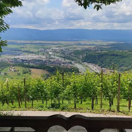 My In The Center Lublaň