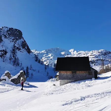 My In The Center * Любляна