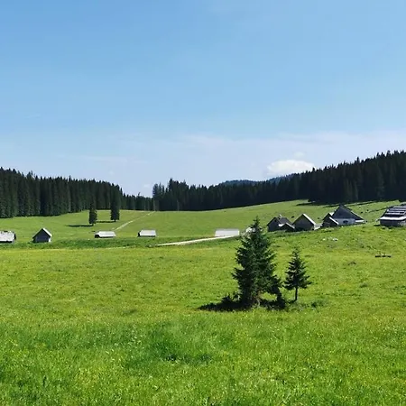 My In The Center Апартаменты