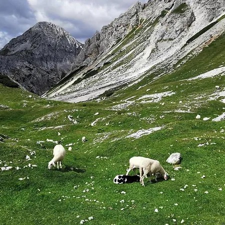 My In The Center * Любляна