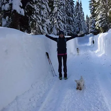 Апартаменты My In The Center