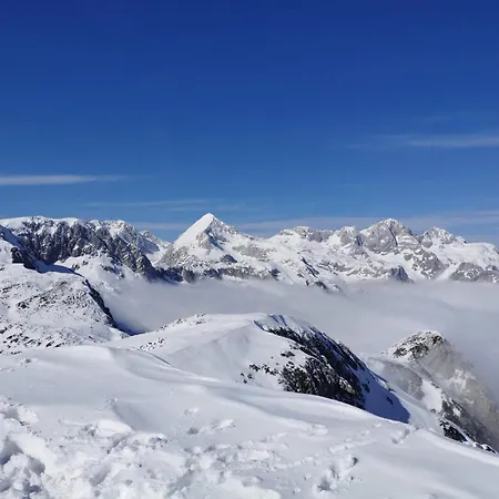 My In The Center * Lublaň