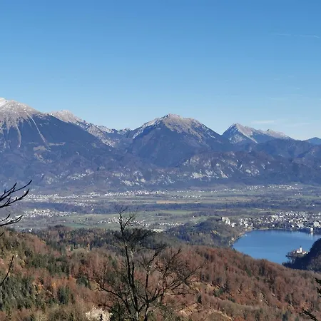 Апартаменты My In The Center *