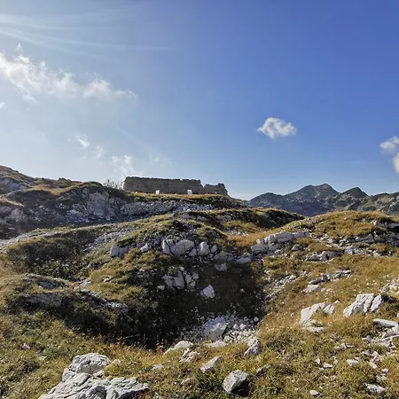 Апартаменты My In The Center Любляна