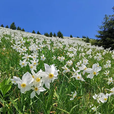 My In The Center * Lublaň
