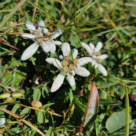 Апартаменты My In The Center *