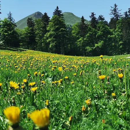 My In The Center * Любляна