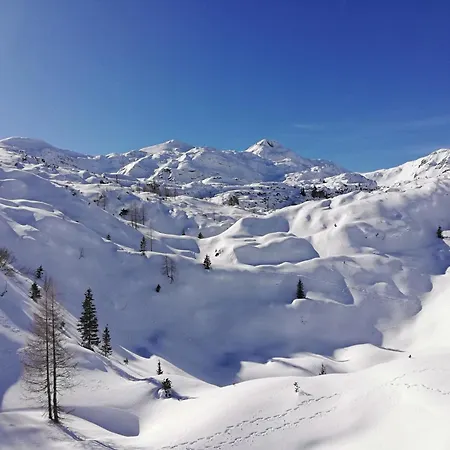 Appartement My In The Center *