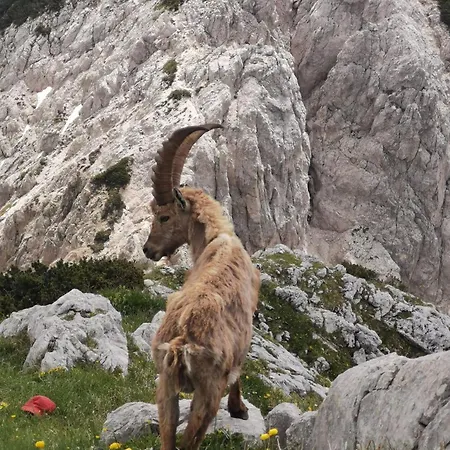 My In The Center * Lublaň