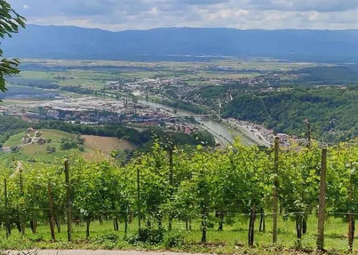 My In The Center Lubiana