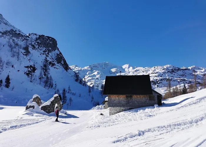 My In The Center * Lubiana