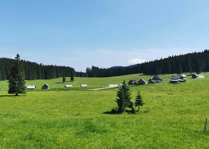 My In The Center Appartamento