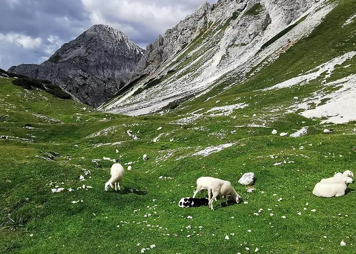 My In The Center * 류블랴나