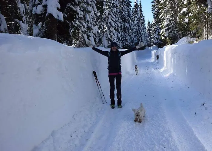 아파트 My In The Center