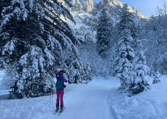 My In The Center Appartamento *