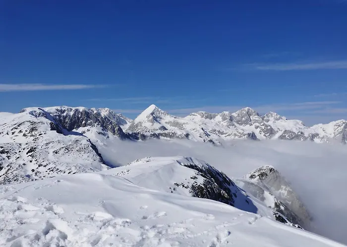 My In The Center * リュブリャナ