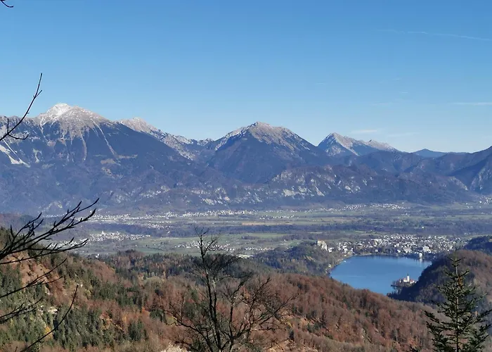 アパート My In The Center *