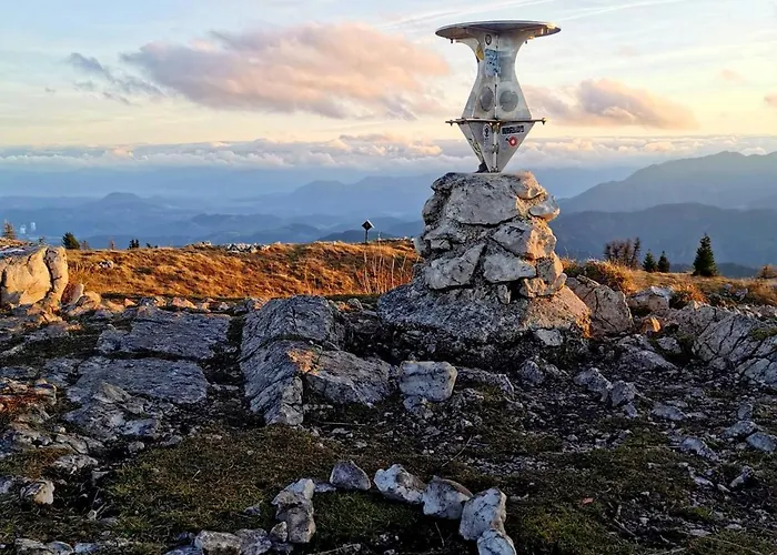 My In The Center * Lubiana