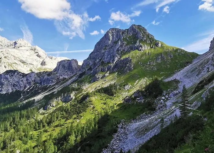 My In The Center 아파트 류블랴나