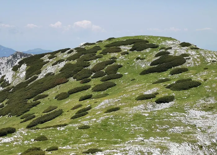 아파트 My In The Center