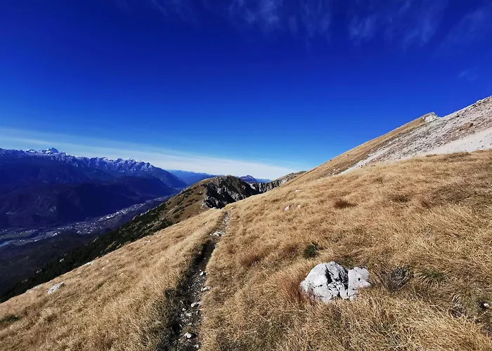 My In The Center アパート リュブリャナ