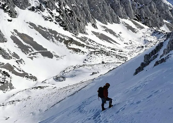 My In The Center * Lubiana