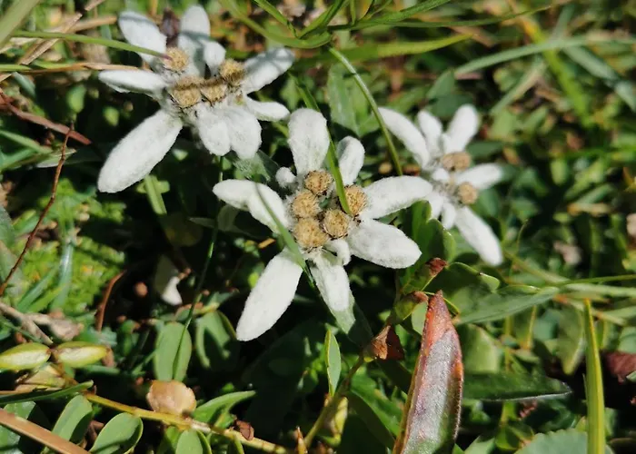 아파트 My In The Center *