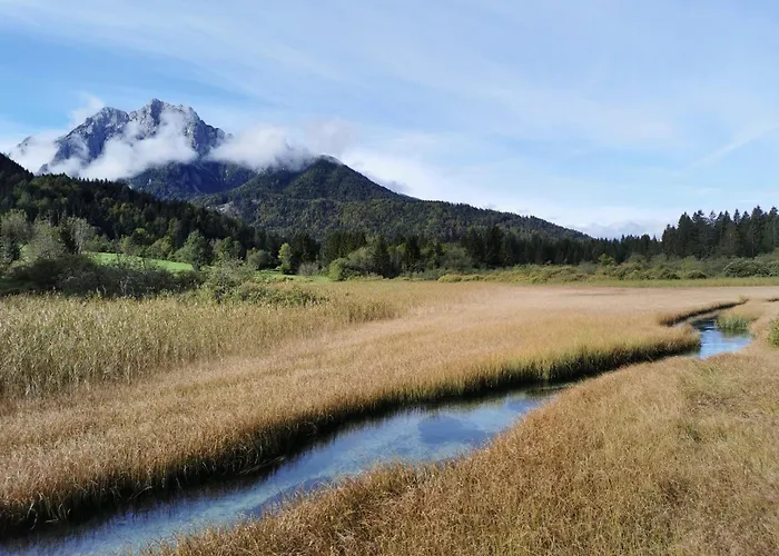 My In The Center 아파트 류블랴나