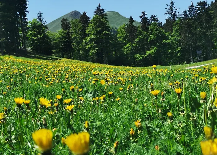 My In The Center * 류블랴나