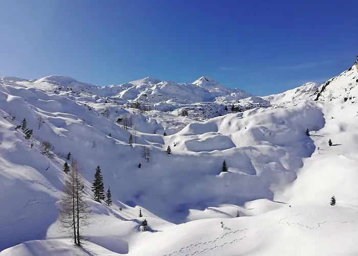 アパート My In The Center *