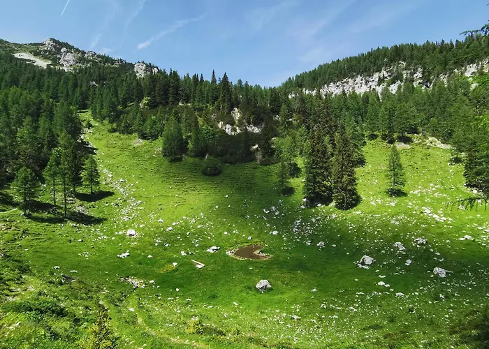 My In The Center アパート *