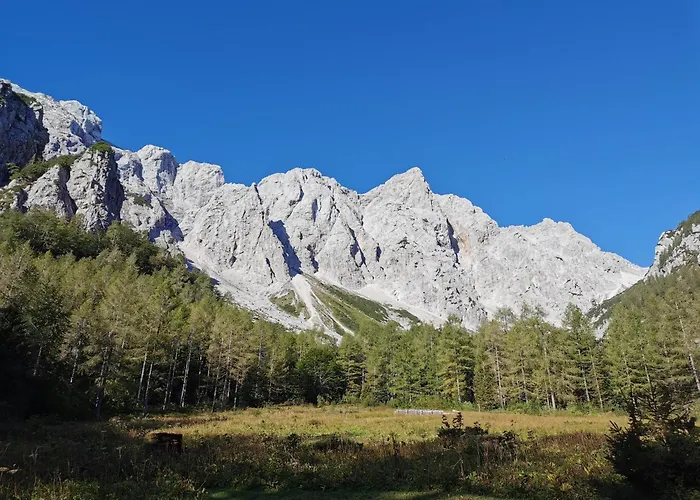 My In The Center * Lubiana