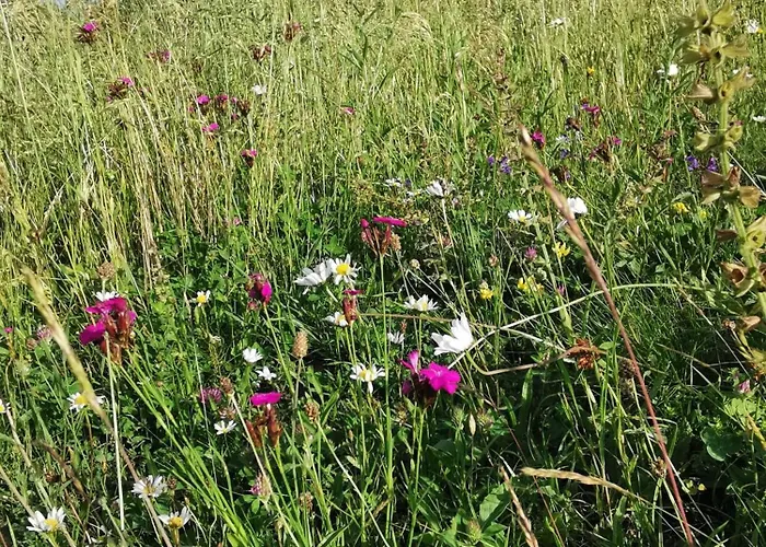 My In The Center アパート