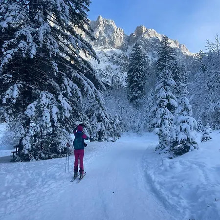 My In The Center Appartement *