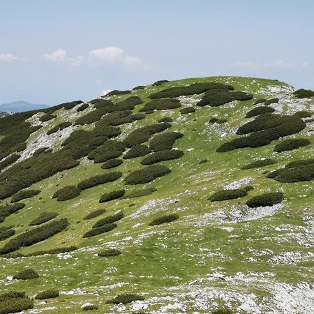 Appartement My In The Center