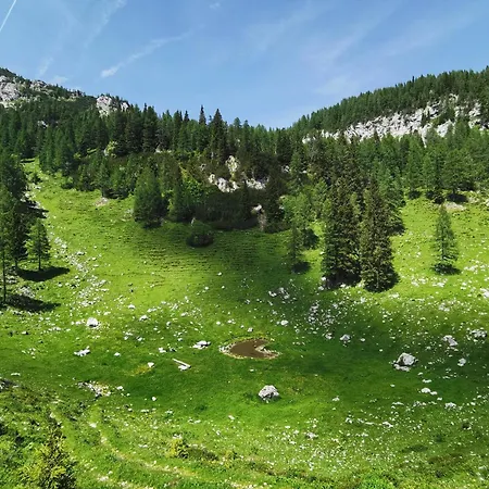 My In The Center Appartement *